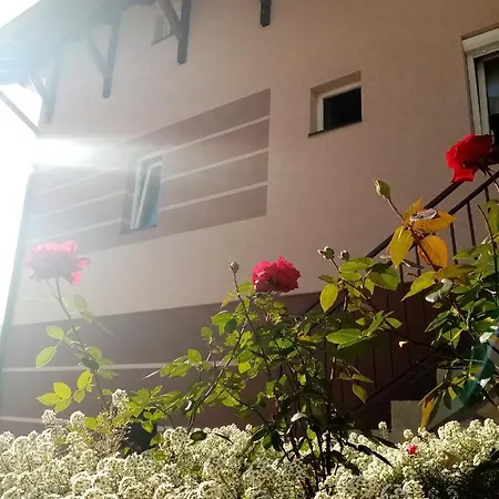 Apartmán Smestaj Zlatar Arena